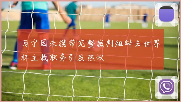 马宁因未携带完整裁判组辞去世界杯主裁职务引发热议